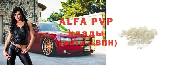 стаф Аркадак