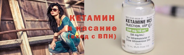 стаф Аркадак