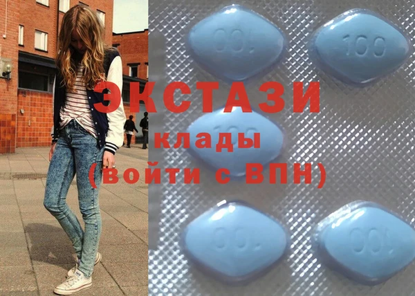 стаф Аркадак