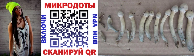 Купить закладки  Саки  Псилоцибиновые грибы Cubensis 